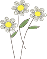 margarita_flower2